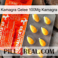 Kamagra Jelly 100Mg Kamagra new01